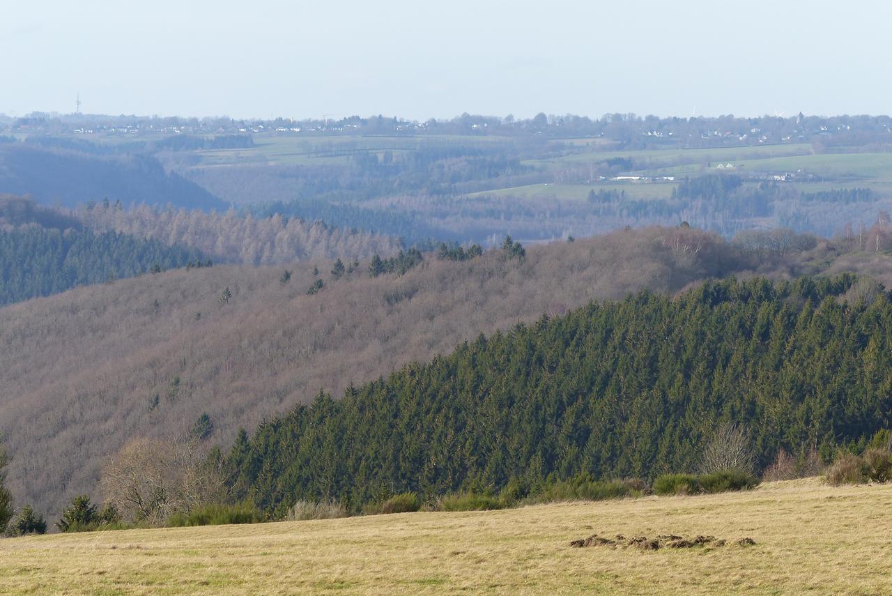 Chalets Am National Park Eifel Schleiden Eksteriør bilde